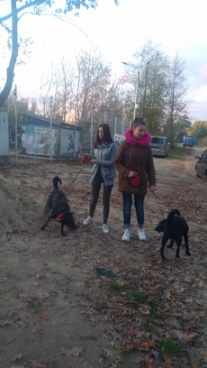Przystanek na cztery apy 