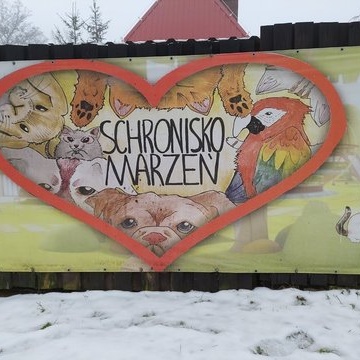 Z wizyt w schronisku