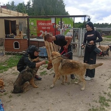 Chwila dla pupila 