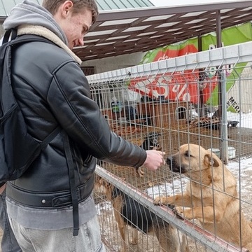 7 kilometrw radoci: Wizyta uczestnikw 7-2 HP w Ostroce w schronisku dla zwierzt