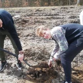 Sadzenie drzewek 2019