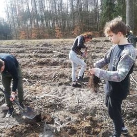 Sadzenie drzewek 2019