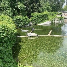 W ogrodzie zoologicznym