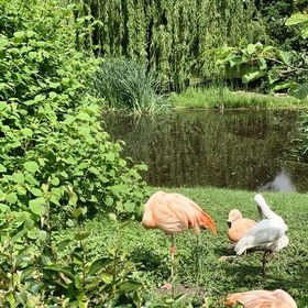 W ogrodzie zoologicznym