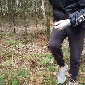 Grzyby jak malowane