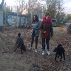 Przystanek na cztery apy 