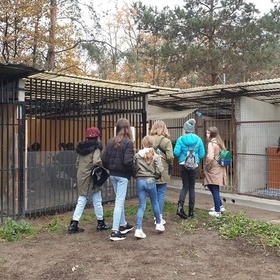 Pomagaj …