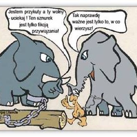 Oswoi STRES...?