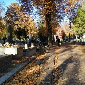 Zapal znicz dla zapomnianych