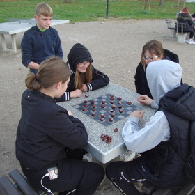 Kasztanowe warcaby