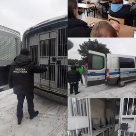 Ryzykujc nie zmarnuj swojego ycia