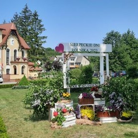 Sierpeckie Dni Rolnika w Studzieńcu