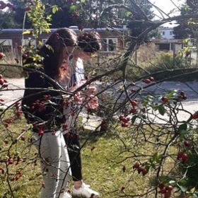 Sprztanie wiata