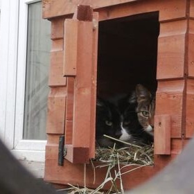 Kadra 7-6 Hufca Pracy nie zapomina o bezdomnych zwierztach 