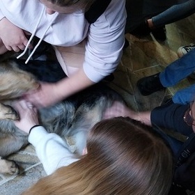 Lipcowe inicjatywy uczestnik�w 7-19 Hufca Pracy w Mi�sku Mazowieckim